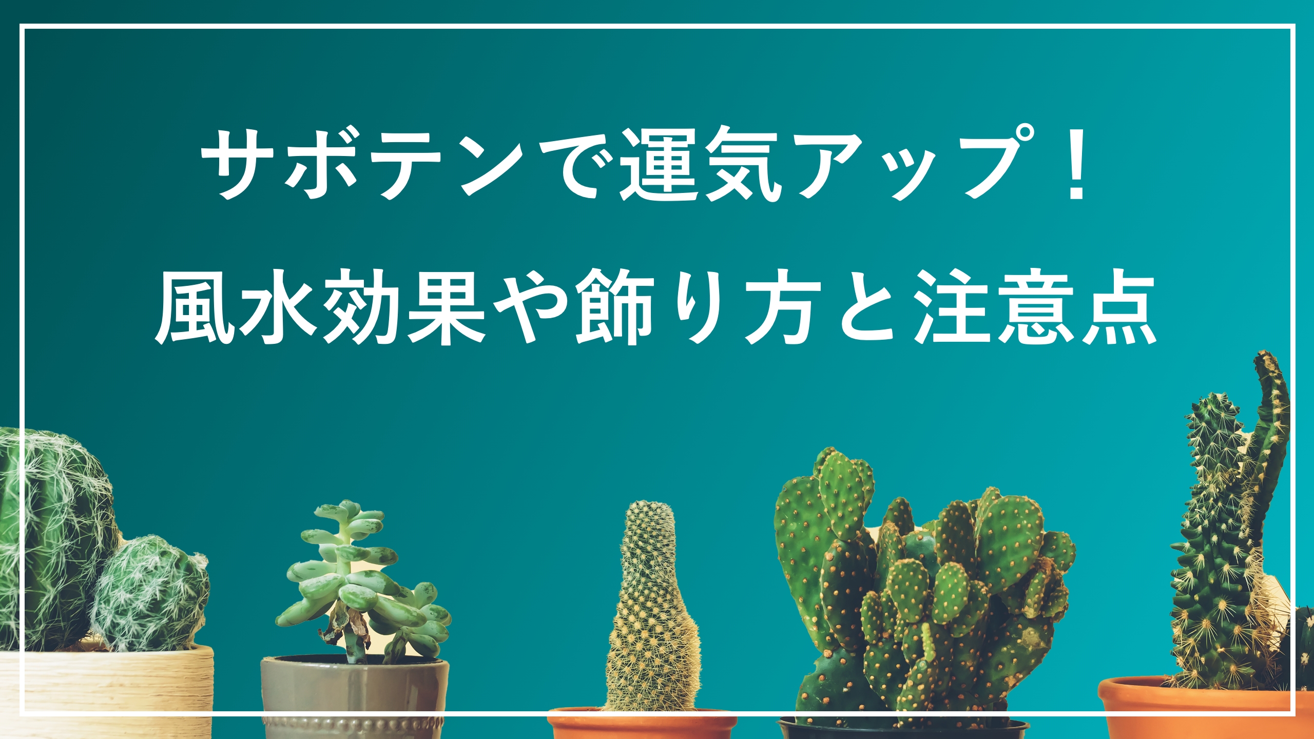 サボテンで運気アップ！風水効果や飾り方と注意点